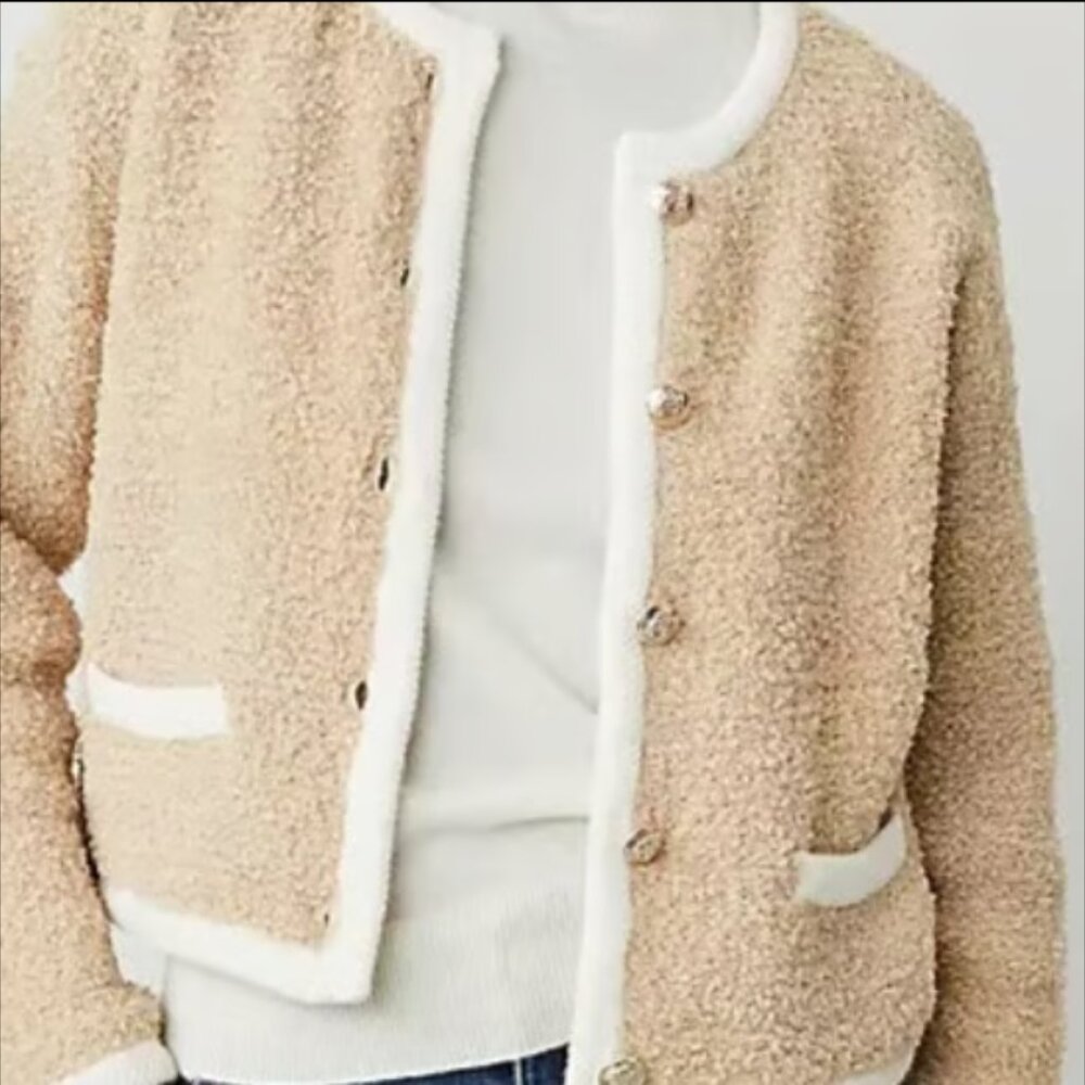 Ann Taylor Tan and Cream Cardigan - Picture 3 of 7
